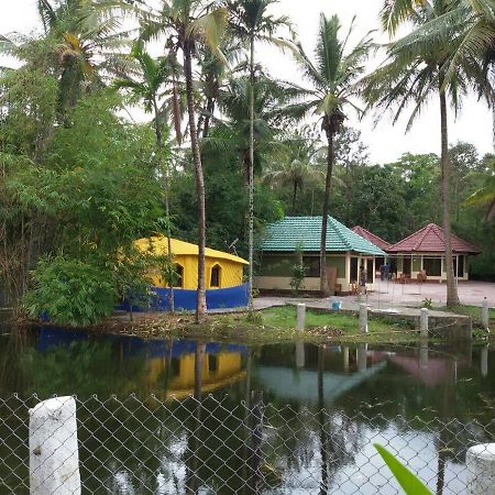 Coorg Anekad Jungle Stay Kushalnagar Ngoại thất bức ảnh