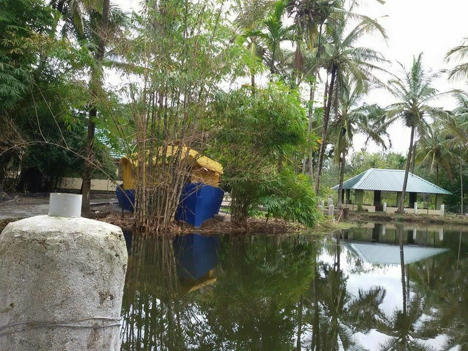 Coorg Anekad Jungle Stay Kushalnagar Ngoại thất bức ảnh