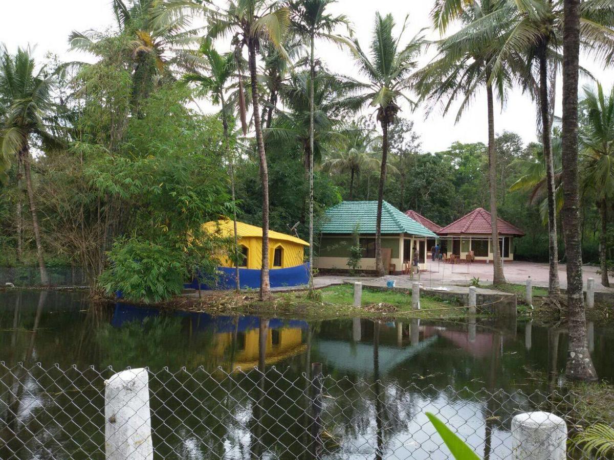 Coorg Anekad Jungle Stay Kushalnagar Ngoại thất bức ảnh